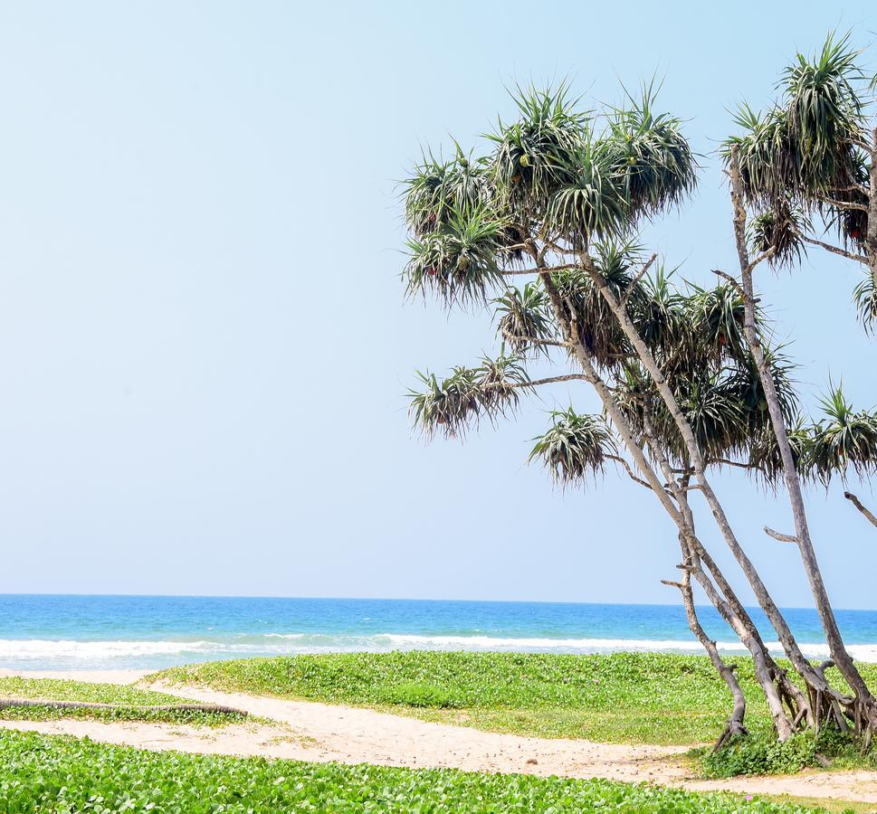 Channa Villa & Tours Bentota Kültér fotó